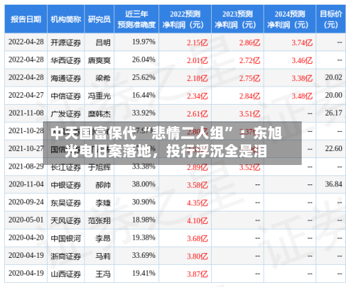 中天国富保代 “悲情二人组” ：东旭光电旧案落地	，投行浮沉全是泪-第2张图片
