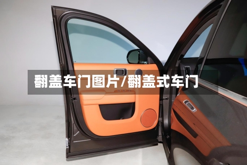 翻盖车门图片/翻盖式车门-第3张图片