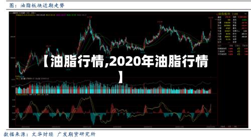 【油脂行情,2020年油脂行情】-第1张图片