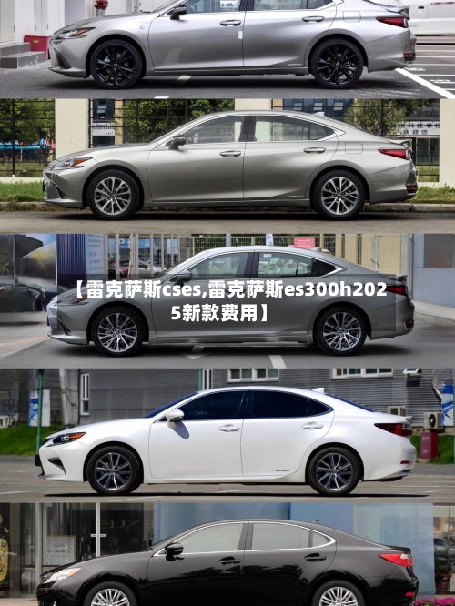 【雷克萨斯cses,雷克萨斯es300h2025新款费用】-第1张图片
