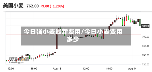 今日强小麦最新费用/今日小麦费用多少-第2张图片