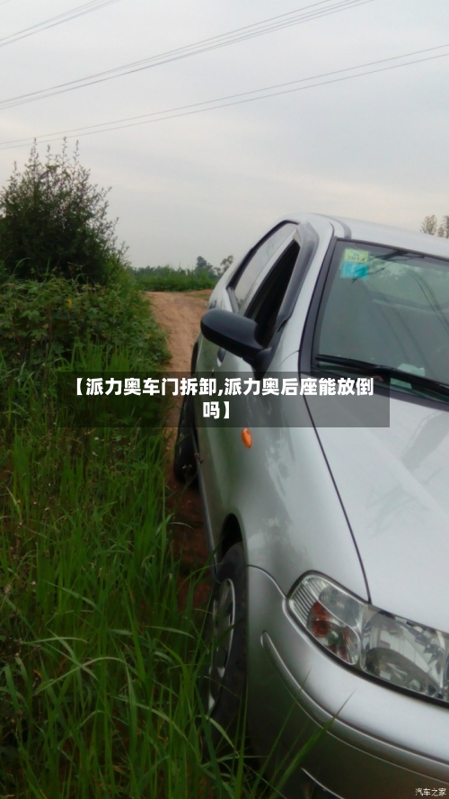 【派力奥车门拆卸,派力奥后座能放倒吗】-第3张图片