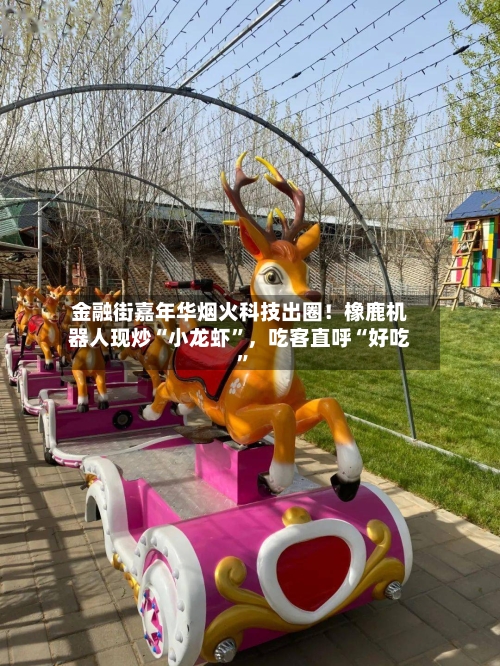 金融街嘉年华烟火科技出圈！橡鹿机器人现炒“小龙虾”	，吃客直呼“好吃	”-第1张图片