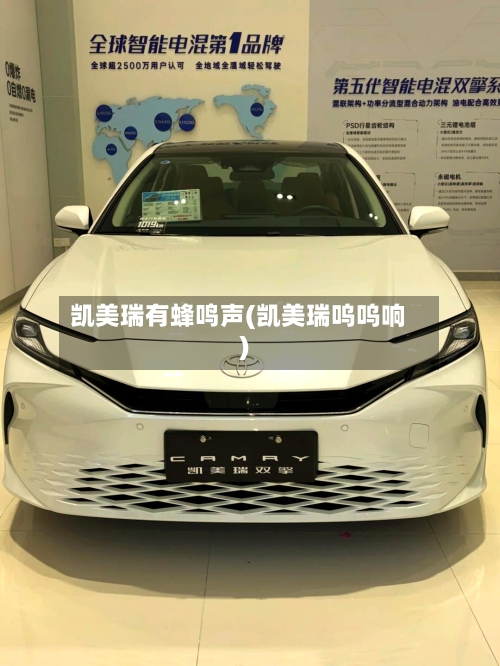 凯美瑞有蜂鸣声(凯美瑞呜呜响)-第2张图片