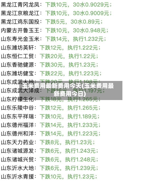 玉米费用最新费用今天(玉米费用最新费用今日)-第3张图片