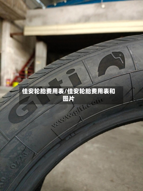 佳安轮胎费用表/佳安轮胎费用表和图片-第2张图片