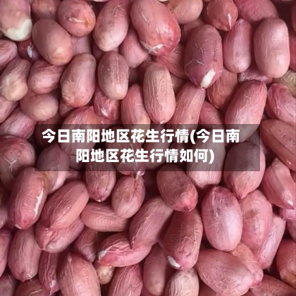 今日南阳地区花生行情(今日南阳地区花生行情如何)-第1张图片
