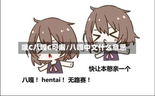 哦C八嘎C可漏/八嘎中文什么意思-第1张图片