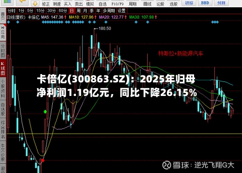 卡倍亿(300863.SZ)：2025年归母净利润1.19亿元	，同比下降26.15%-第1张图片