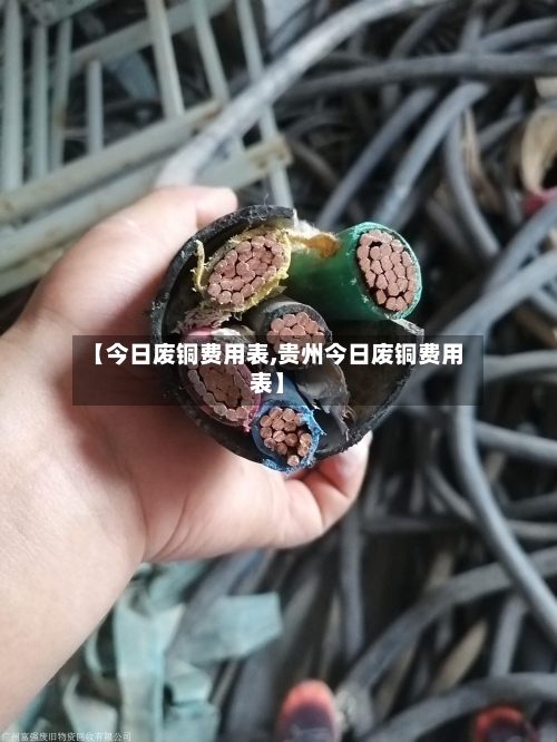 【今日废铜费用表,贵州今日废铜费用表】-第3张图片