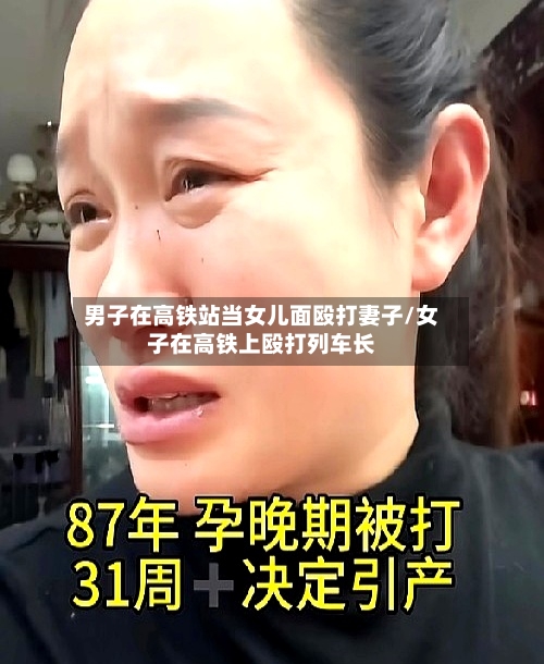 男子在高铁站当女儿面殴打妻子/女子在高铁上殴打列车长-第2张图片
