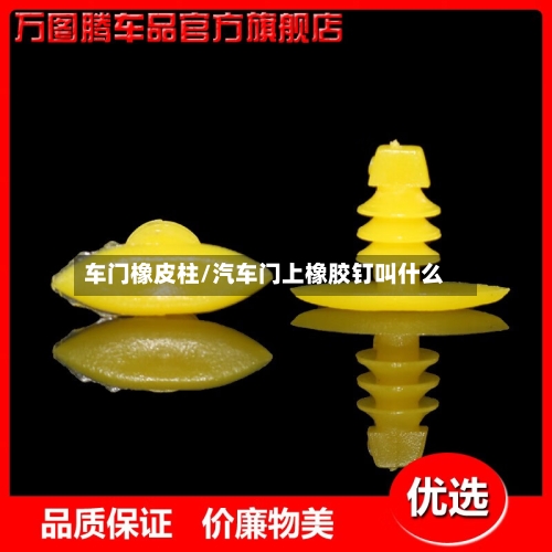 车门橡皮柱/汽车门上橡胶钉叫什么-第2张图片