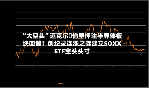 “大空头”迈克尔・伯里押注半导体板块回调！创纪录连涨之际建立SOXX ETF空头头寸-第2张图片