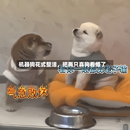 机器狗花式整活，把两只真狗看懵了-第1张图片