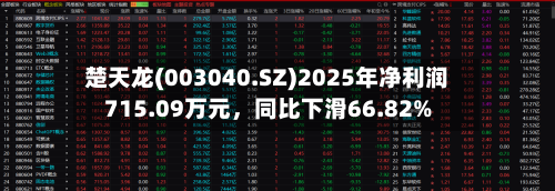 楚天龙(003040.SZ)2025年净利润715.09万元	，同比下滑66.82%-第1张图片
