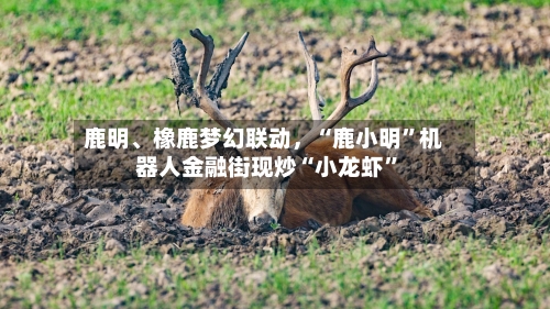 鹿明	、橡鹿梦幻联动	，“鹿小明	”机器人金融街现炒“小龙虾”-第1张图片