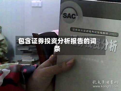 包含证券投资分析报告的词条-第3张图片