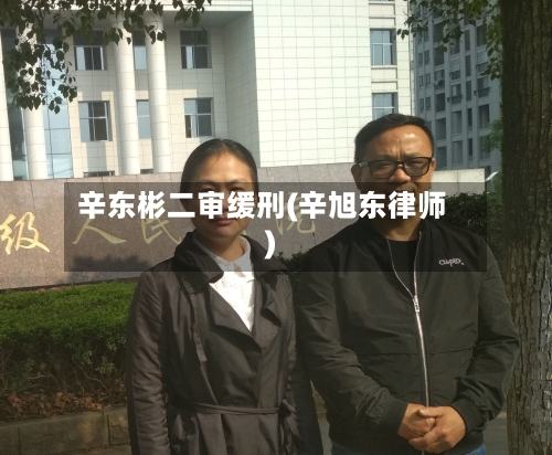 辛东彬二审缓刑(辛旭东律师)-第3张图片