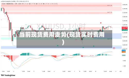当前现货费用走势(现货实时费用)-第1张图片