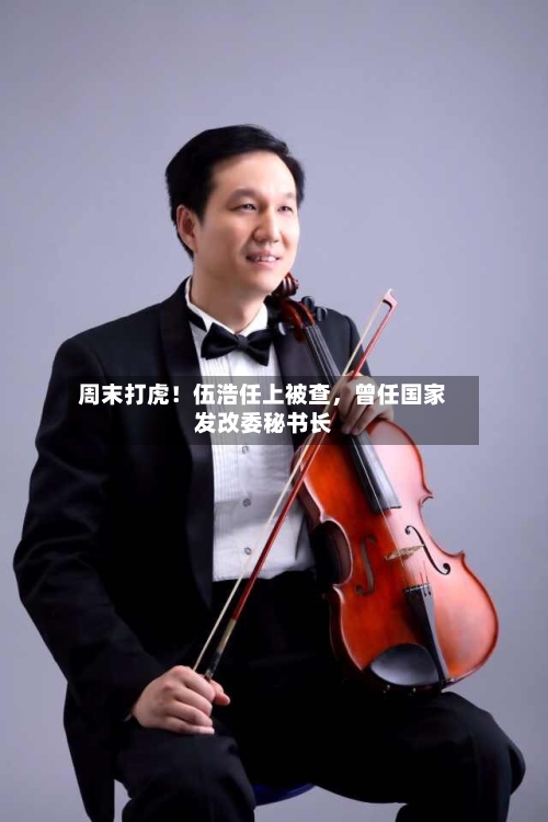 周末打虎！伍浩任上被查	，曾任国家发改委秘书长-第1张图片