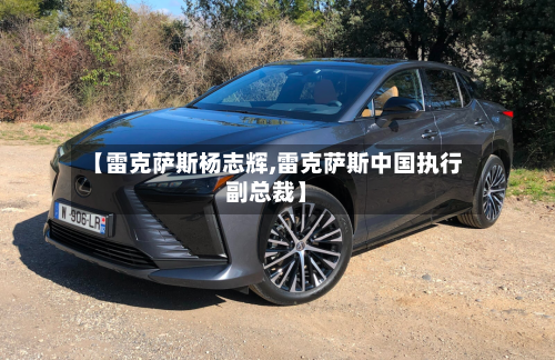 【雷克萨斯杨志辉,雷克萨斯中国执行副总裁】-第2张图片