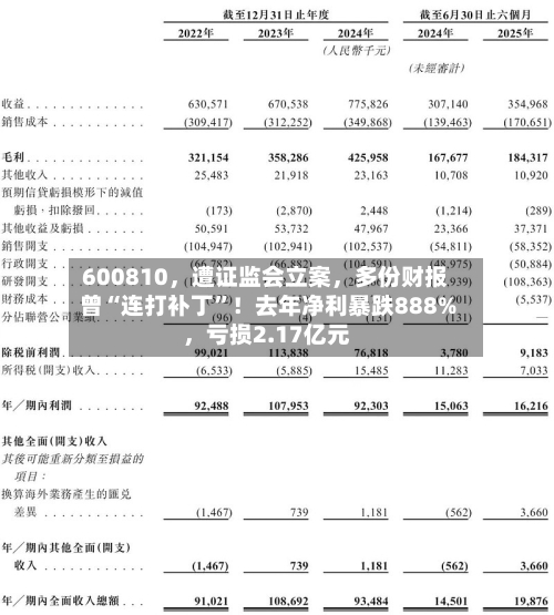 600810	，遭证监会立案，多份财报曾“连打补丁”！去年净利暴跌888%，亏损2.17亿元-第1张图片
