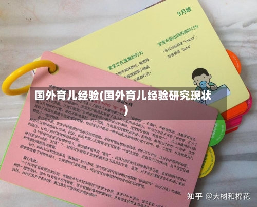 国外育儿经验(国外育儿经验研究现状)-第2张图片