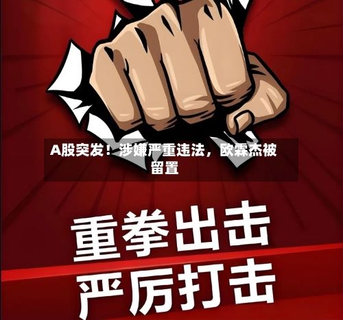 A股突发！涉嫌严重违法	，欧霖杰被留置-第1张图片