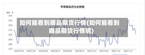 如何能看到商品期货行情(如何能看到商品期货行情呢)-第2张图片