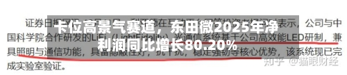 卡位高景气赛道，东田微2025年净利润同比增长80.20%-第3张图片