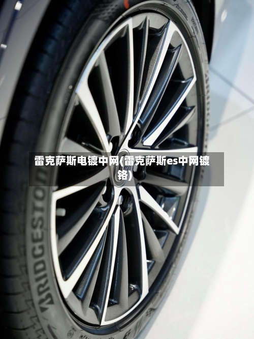 雷克萨斯电镀中网(雷克萨斯es中网镀铬)-第1张图片