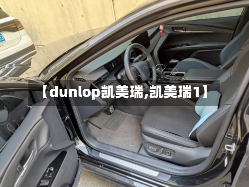 【dunlop凯美瑞,凯美瑞1】-第2张图片
