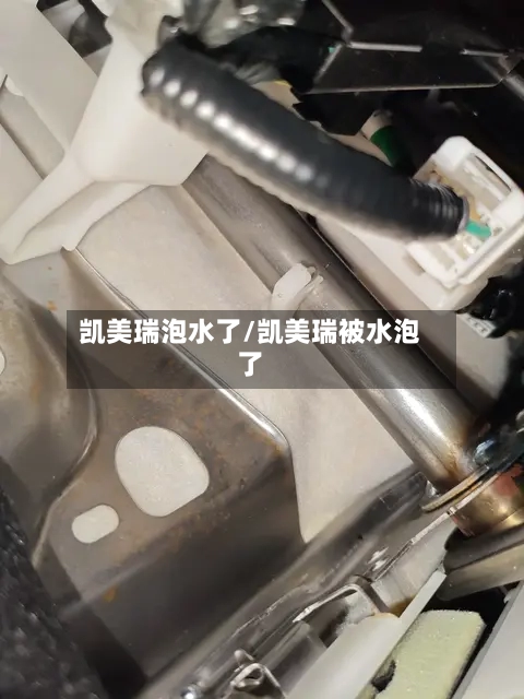 凯美瑞泡水了/凯美瑞被水泡了-第2张图片