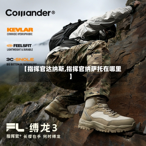 【指挥官达纳斯,指挥官纳萨托在哪里】-第2张图片