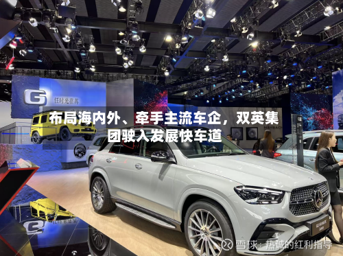 布局海内外	、牵手主流车企，双英集团驶入发展快车道-第1张图片