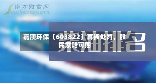 嘉澳环保（603822）再被处罚，股民索赔可期-第2张图片