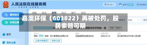 嘉澳环保（603822）再被处罚，股民索赔可期-第1张图片