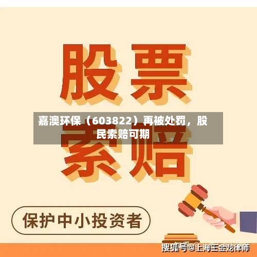 嘉澳环保（603822）再被处罚	，股民索赔可期-第3张图片