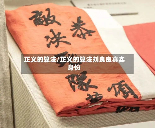 正义的算法/正义的算法刘良良真实身份-第1张图片