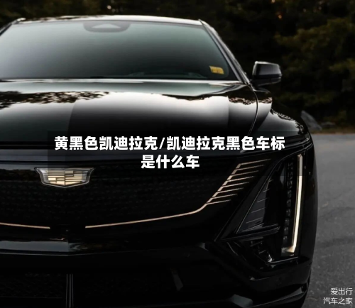 黄黑色凯迪拉克/凯迪拉克黑色车标是什么车-第1张图片