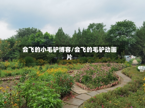 会飞的小毛驴博客/会飞的毛驴动画片-第2张图片