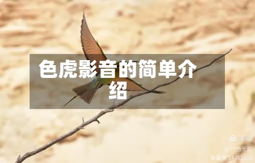 色虎影音的简单介绍-第1张图片