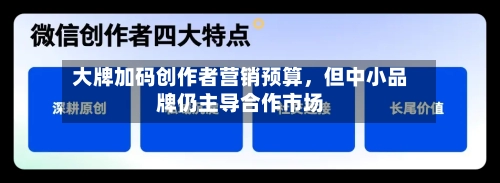 大牌加码创作者营销预算	，但中小品牌仍主导合作市场-第1张图片