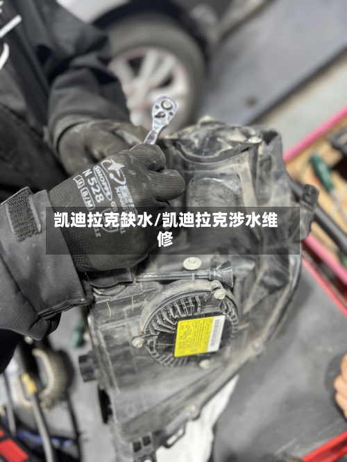 凯迪拉克缺水/凯迪拉克涉水维修-第1张图片