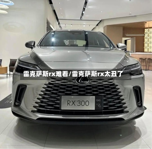 雷克萨斯rx难看/雷克萨斯rx太丑了-第2张图片