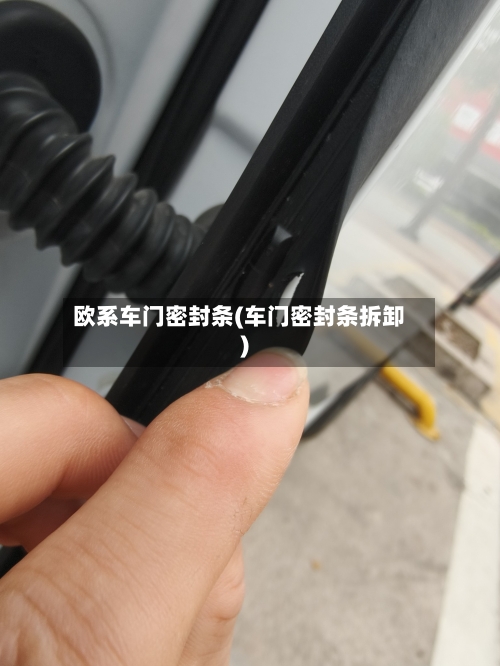 欧系车门密封条(车门密封条拆卸)-第1张图片