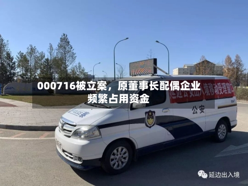 000716被立案，原董事长配偶企业频繁占用资金-第1张图片