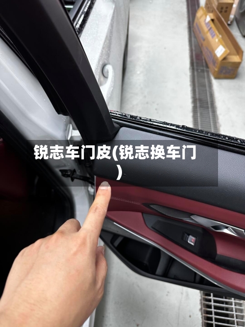 锐志车门皮(锐志换车门)-第2张图片