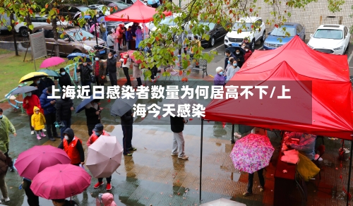 上海近日感染者数量为何居高不下/上海今天感染-第1张图片