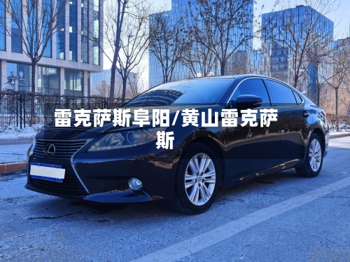 雷克萨斯阜阳/黄山雷克萨斯-第2张图片